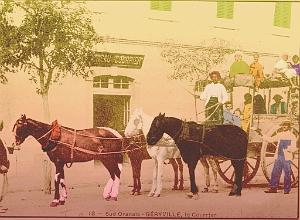 GERYVILLE 03